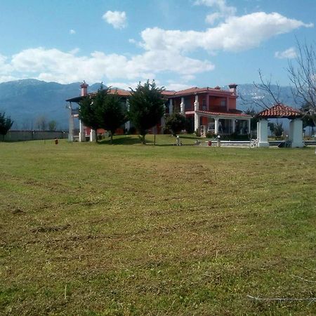 Ligaria  Αρχοντικό Παπανικολάουヴィラ エクステリア 写真